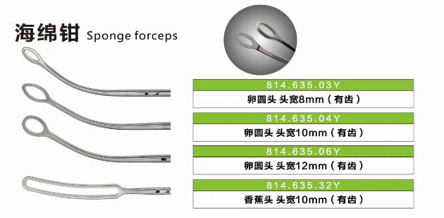 sponge forceps-Euprun2